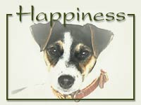 Outlaw Happiness >>>